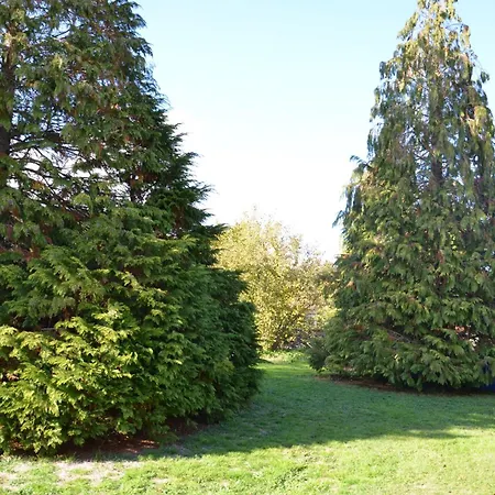 Oda ve Kahvaltı Chez Patou - D'hotes Beauzac